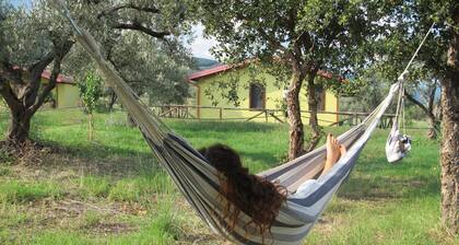 Offre spéciale! Bungalow sous les étoiles à la campagne à 2 km de la mer.