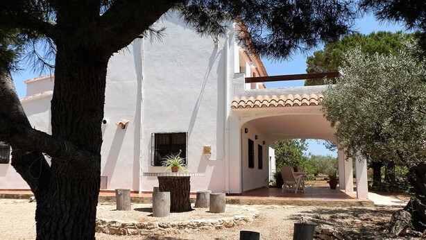 Un edificio bianco con tetto in tegole, un portico coperto con posti a sedere esterni e un grande albero in primo piano.