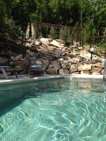 LITTLE SHEEP TYPICAL STONE