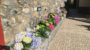 Un mur de pierre orné d’une rangée d’hortensias aux couleurs vives.