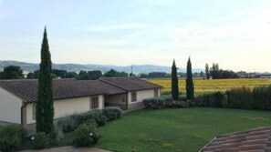 المنطقة المحيطة بالمنشأة