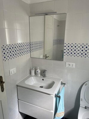 Shower, hair dryer, bidet, towels