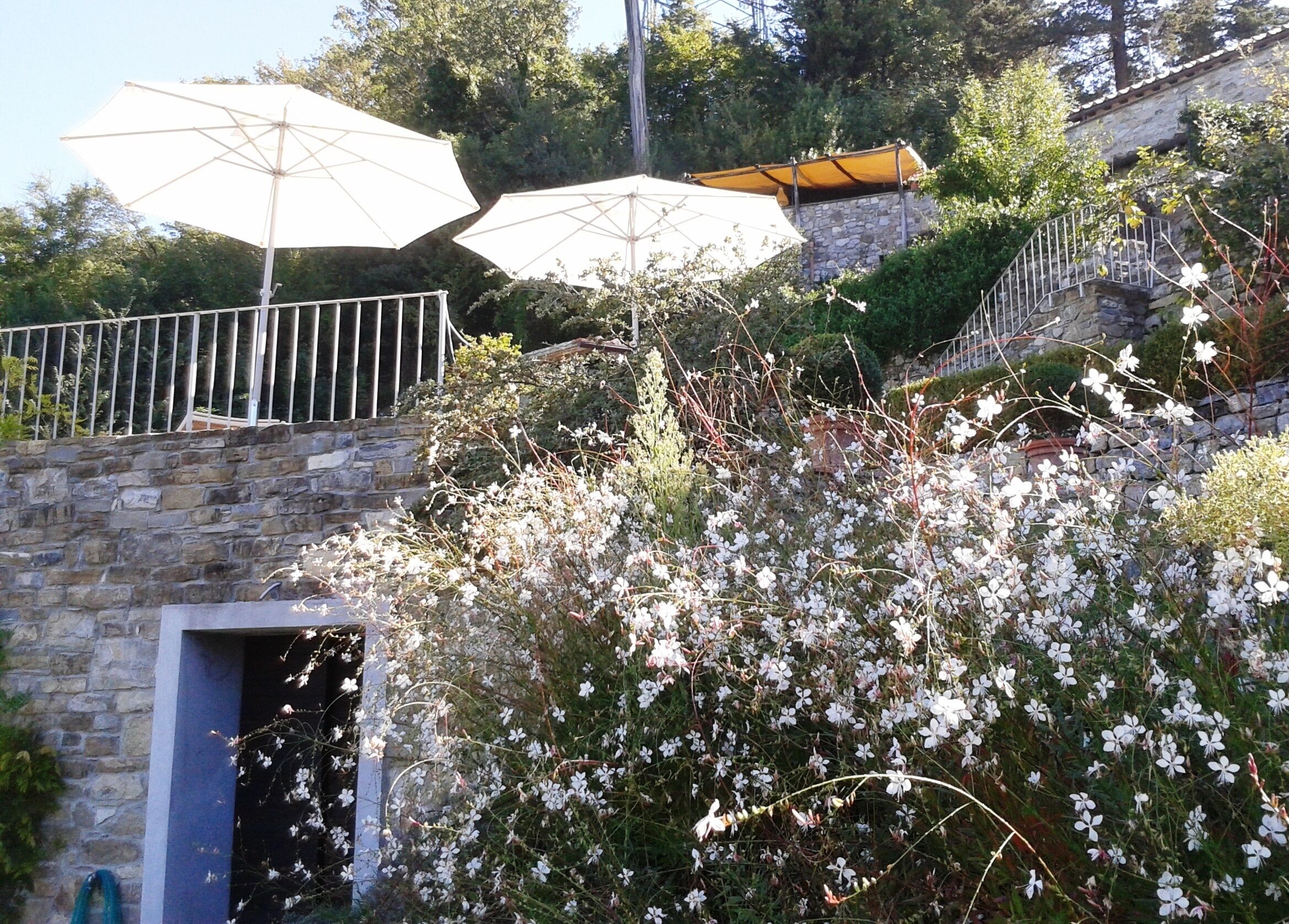 A stone staircase with white umbrellas and a garden with white flowers.