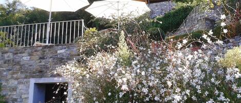A stone staircase with white umbrellas and a garden with white flowers.