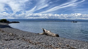 Ein Kiesstrand mit einem umgestürzten Baumstamm, ruhigem Wasser und fernen Bergen unter einem teils bewölkten Himmel.