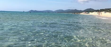在海滩