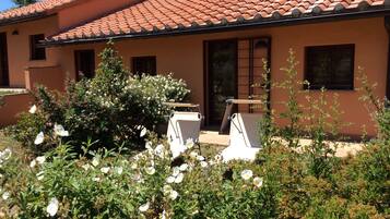 Área da propriedade