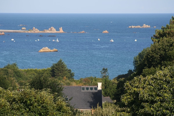 La maison et son environnement