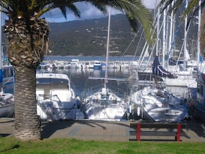 A marina with several boats docked, a palm tree, and a mountainous backdrop.