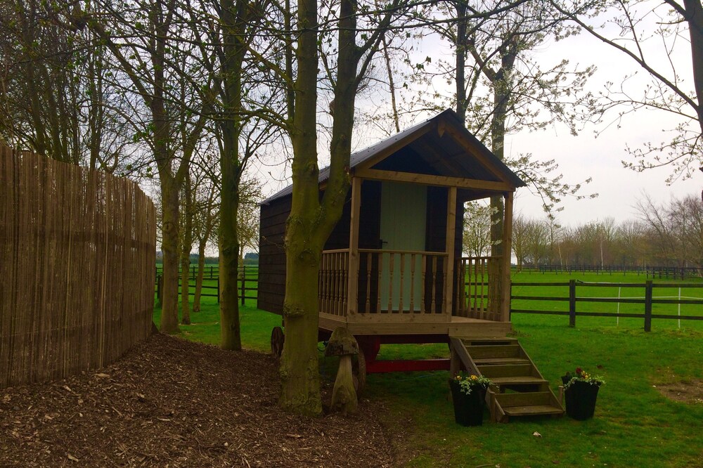 Unique Shepherds hut retreat in a beautiful farm setting close to cambridge