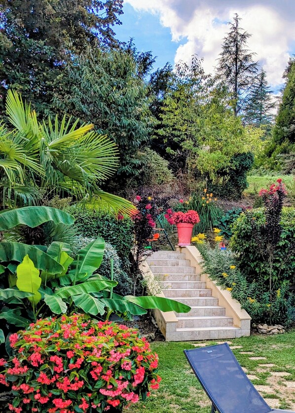 A garden with a stone staircase surrounded by various plants and flowers.