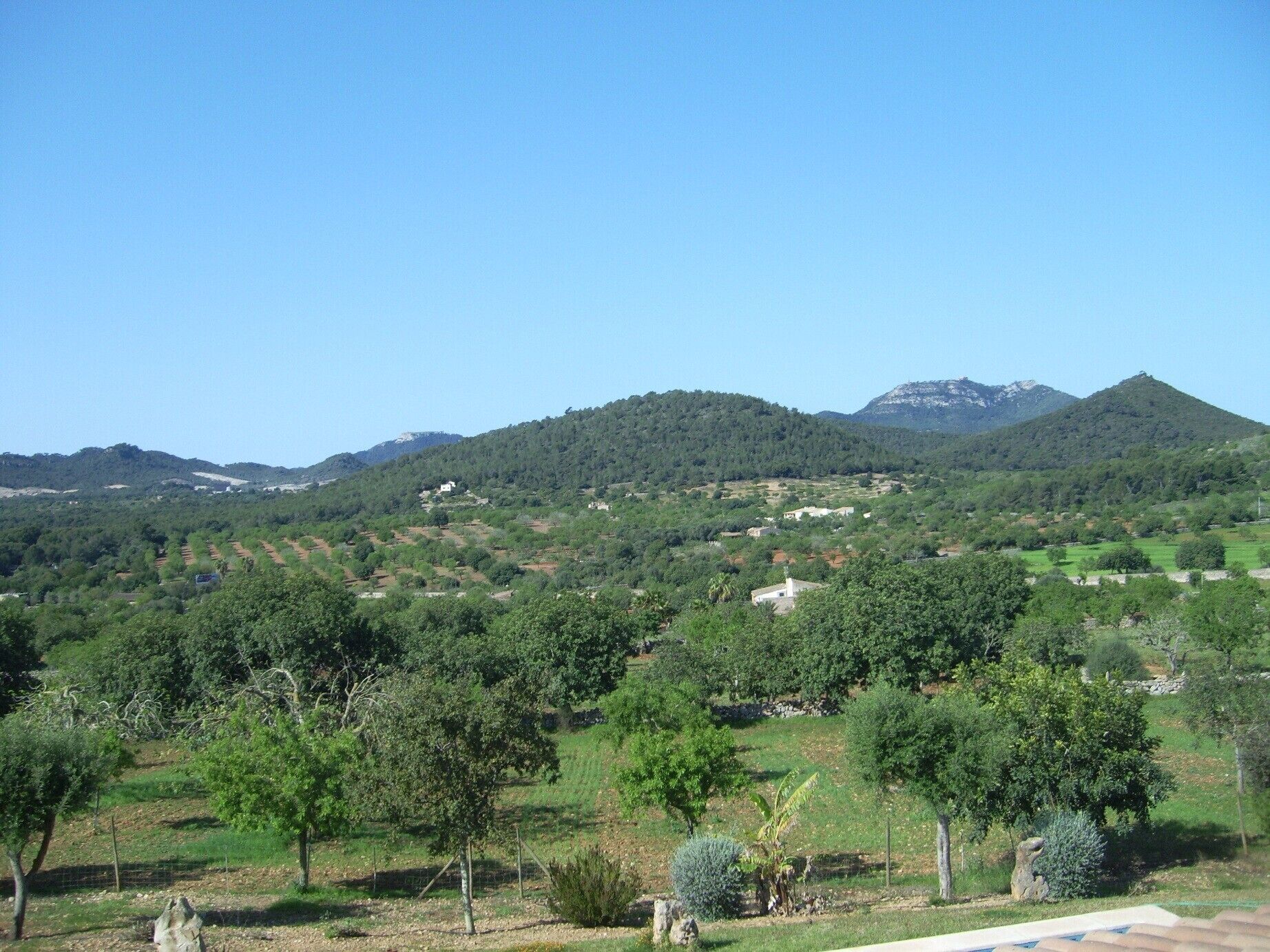 Ländliche Landschaft mit sanften Hügeln, vereinzelten Bäumen und einigen Gebäuden.
