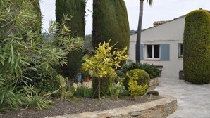 Un chemin de pierre mène à un bâtiment blanc aux volets bleus, entouré de différentes plantes et d’un grand arbre cylindrique.