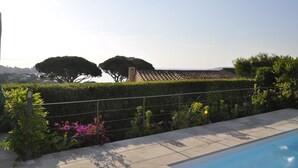 Une piscine dotée d’une terrasse carrelée, entourée d’arbustes bien entretenus et de plantes en fleurs.