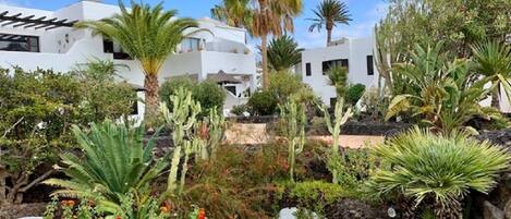 Terrain de lâhĂ©bergement