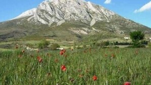 A mountain with a clear sky. - Marquet house for 4 people (Valle de Lierp)