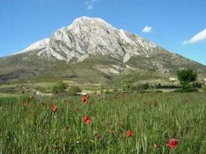 Surrounded by vibrant red poppies, this mountain landscape offers breathtaking views of a majestic peak.