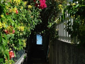 Property grounds - Bungalow Badamier, La Preneuse Beach (La Preneuse)