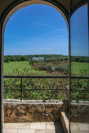 A view through an arched window overlooking a rural landscape with a white building, green fields, and a stone wall.
