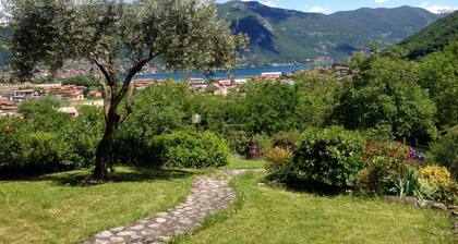 VILLA LE FONTANELLE: lake view, pool, air conditioning, Netflix, wifi, BBQ