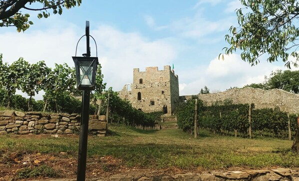 Un castillo de piedra con una bandera en la parte superior, rodeado de viñedos y un muro de piedra.