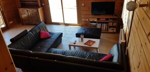 Televisión, chimenea y libros 