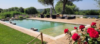 Appartement / Eigentumswohnung aus Massivholz mit eigenem Swimming-Teich auf 1 Hektar