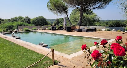 Chalet with private ecological swimming pool on 1 hectare