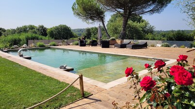 Chalet with private ecological swimming pool on 1 hectare
