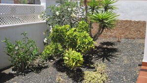 A garden with various plants and a stone wall. - Luxury 2 Bedroom Bungalow With Communal Pool & Wifi On Golf Resort (Antigua)