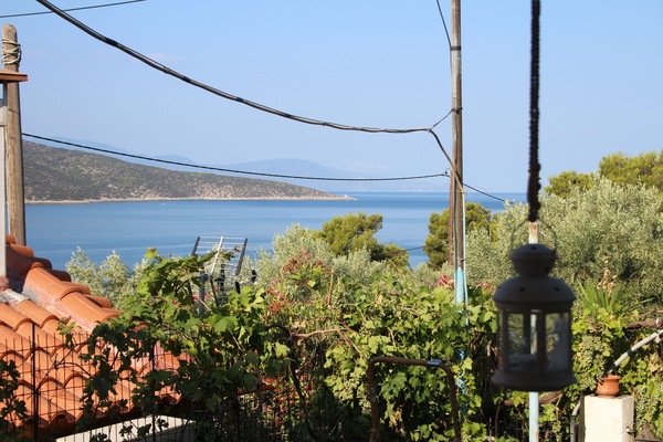 View from the veranta