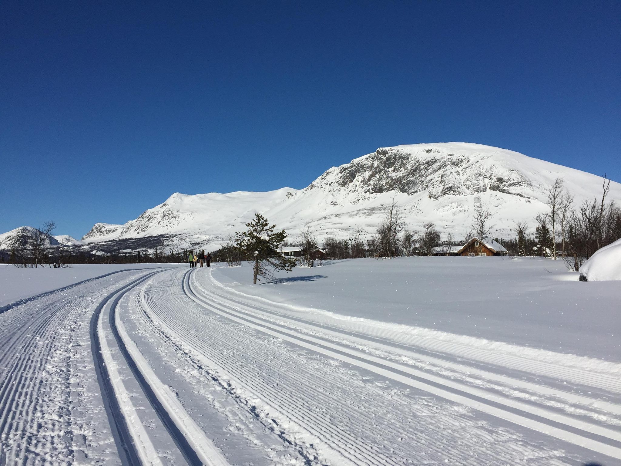 Paisatge cobert de neu amb cel blau, una muntanya al fons i un camí que s'allunya.