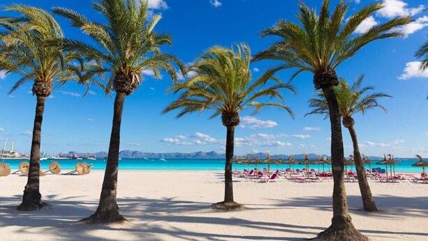 A beach with palm trees, a clear blue sky, and a sandy shore. - Apartamento cerca de la playa Can Berenguer (Port d´Alcudia)