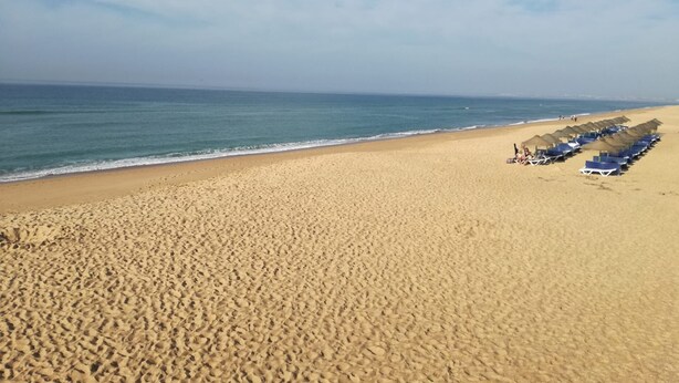 A wide sandy beach with rows of blue beach chairs and umbrellas.