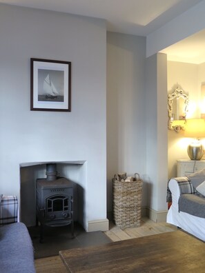 Smart TV, fireplace, books