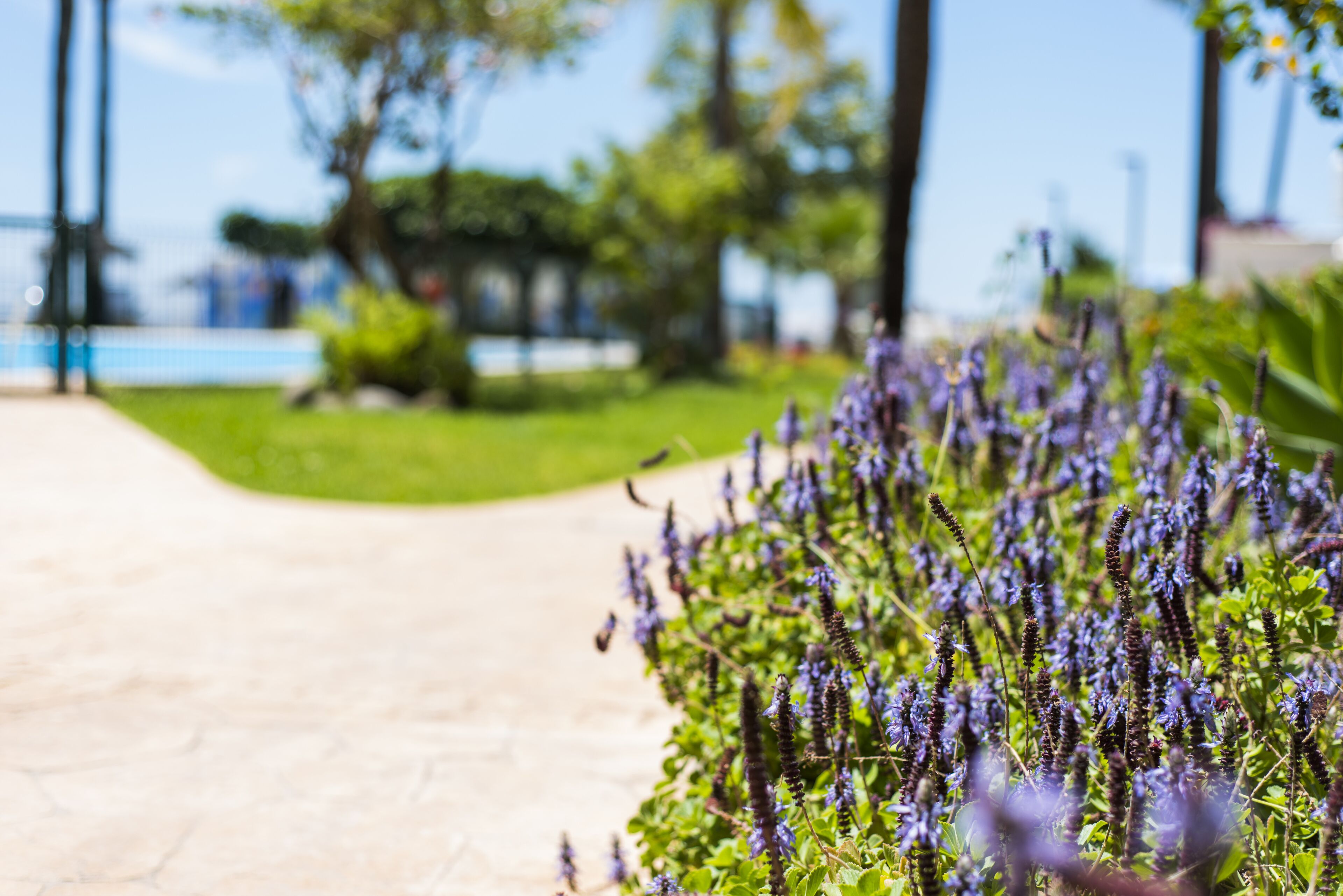 Jardines del alojamiento