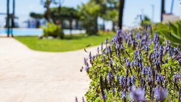 Jardines del alojamiento