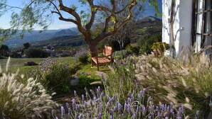 Um jardim com um banco, uma árvore e vista para o campo.
