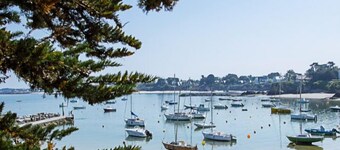  In a green setting close to the ocean 