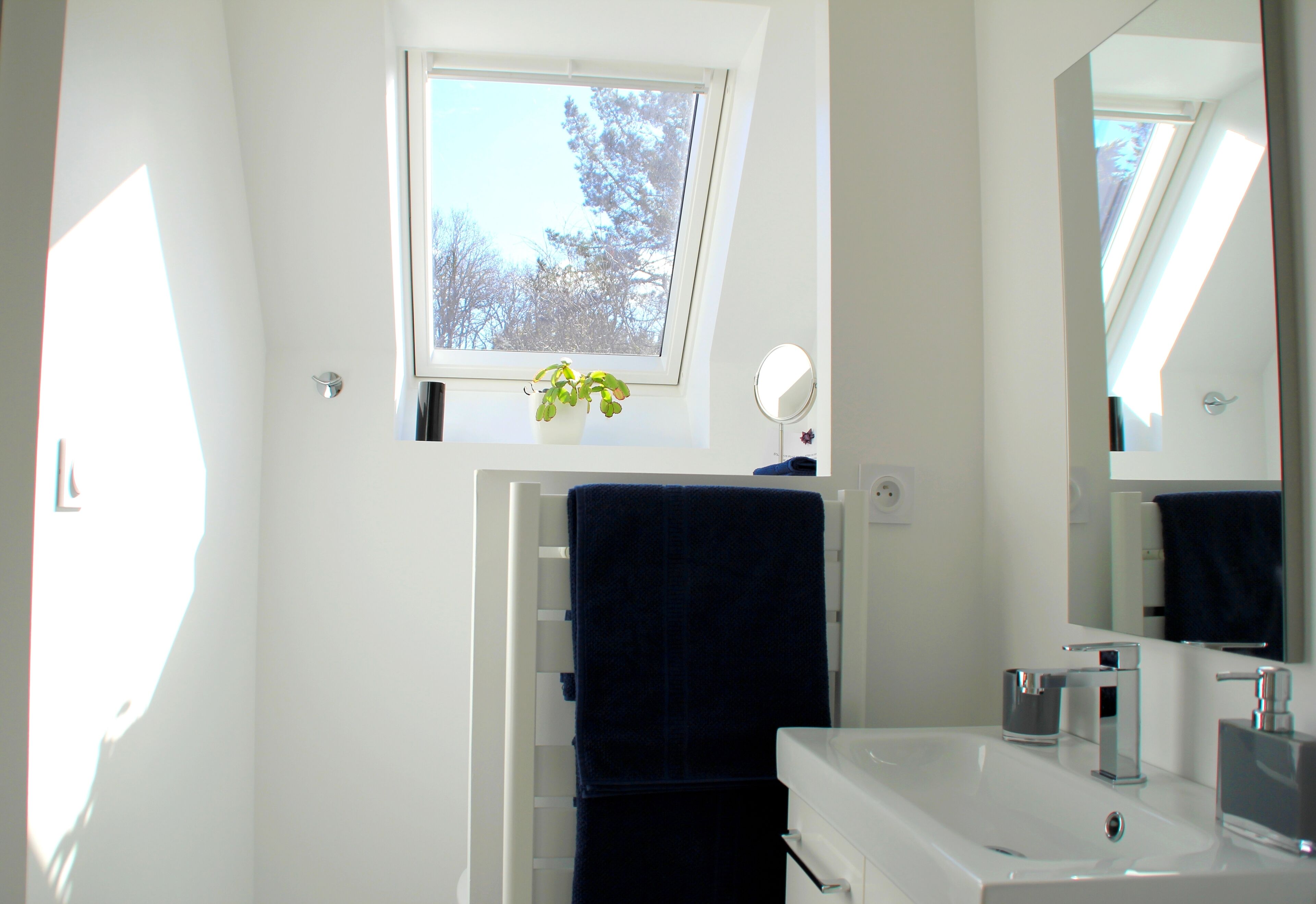  In a green setting close to the ocean 