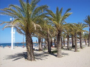 Beach nearby, sun-loungers
