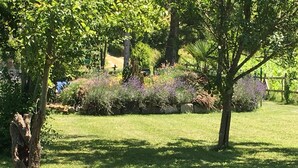 Un jardín bien cuidado con diversas plantas y un muro de piedra.
