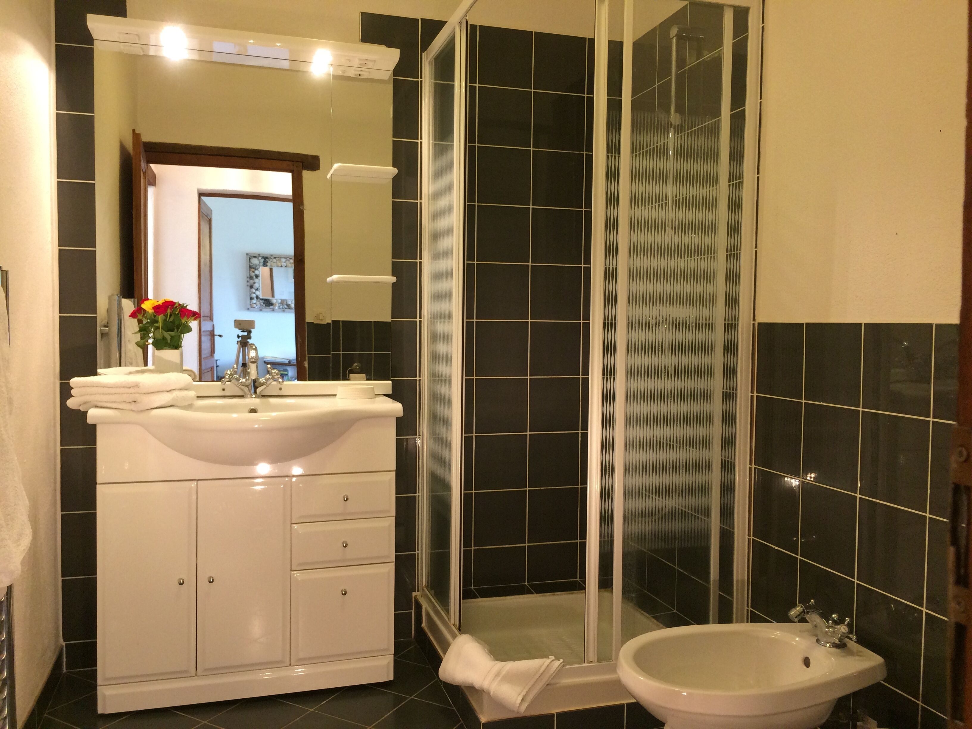 Een bad, een haardroger, een bidet, handdoeken