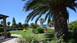 Un jardin avec des palmiers, une piscine et des chaises longues.