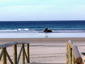 Platja a a prop