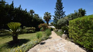 Un chemin de pierres serpente à travers un jardin où poussent différentes plantes et arbres, notamment un palmier et un grand conifère.