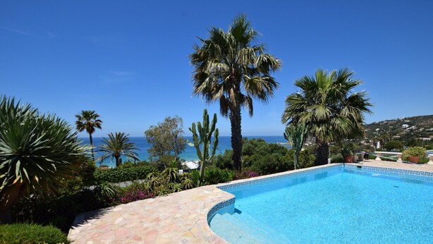 Une piscine bordée de pierres, entourée de différentes plantes et de palmiers, et offrant une vue sur la côte.