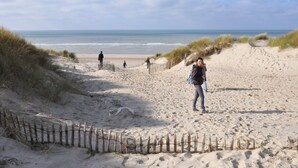 A sandy beach with a wooden fence and dunes.