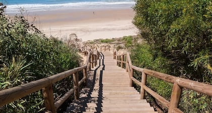 Bright apartment on the beach nets / natural environment pine forests and dunes. Wifi