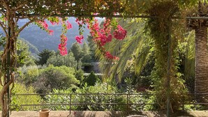 Um jardim com pérgola, diversas plantas e vista para colinas ao longe.